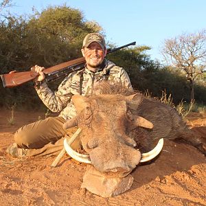 South Africa Hunting Warthog