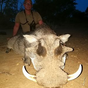 Warthog Hunt South Africa