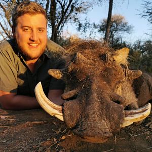 South Africa Hunt Warthog