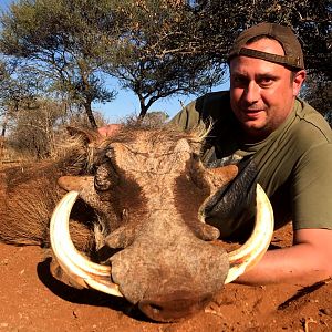 Warthog Hunting South Africa