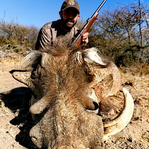 Hunt Warthog in South Africa