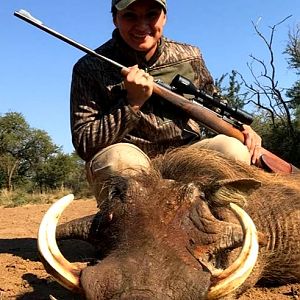 South Africa Hunting Warthog