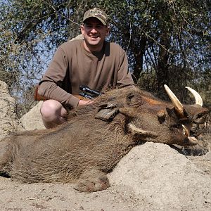 Warthog Hunting South Africa