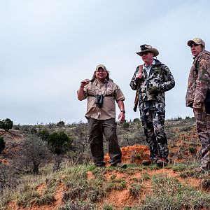 Texas USA Hunt Aoudad