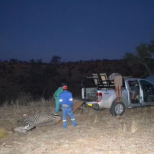 Namibia Hunt Hartmann's Mountain Zebra