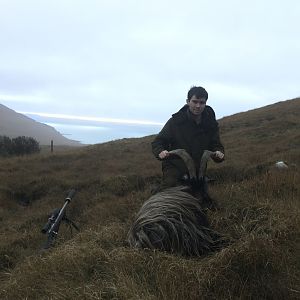 Hunt Feral Goat in Scotland