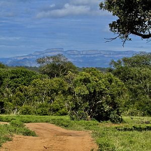 Photo Safari in South Africa