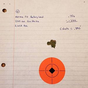 Norma PH 230 gr Ecostrike Range Shots