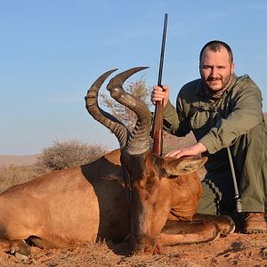 South Africa Hunting Red Hartebeest