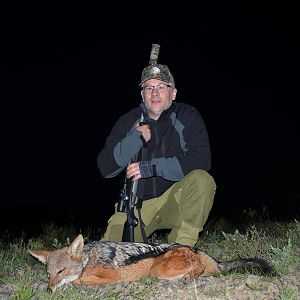 Jackal Hunt South Africa