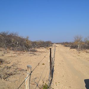 Namibia Hunting Kudu