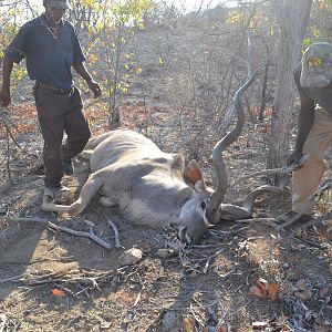 Hunting Kudu in Namibia