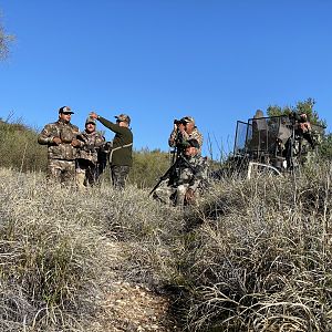 Hunting Desert Bighorn Sheep in Mexico