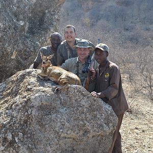 Klipspringer Hunting Namibia