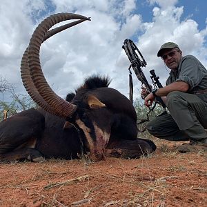 Sable Hunting South Africa