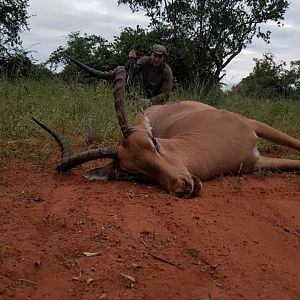 Hunting Impala in South Africa