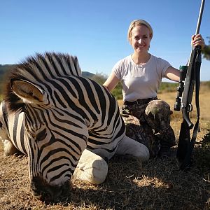 Burchell's Plain Zebra Hunt South Africa