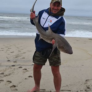 Spotted Gully Shark Fishing Namibia