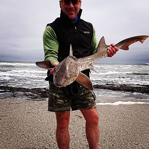 Spotted Gully Shark Fishing Namibia