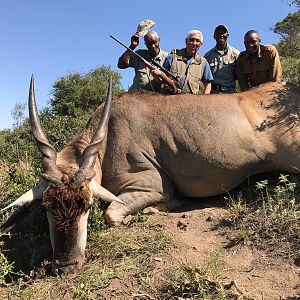 Eland Hunt South Africa