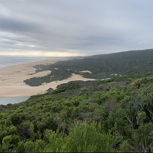Coastal Hunting Area South Africa
