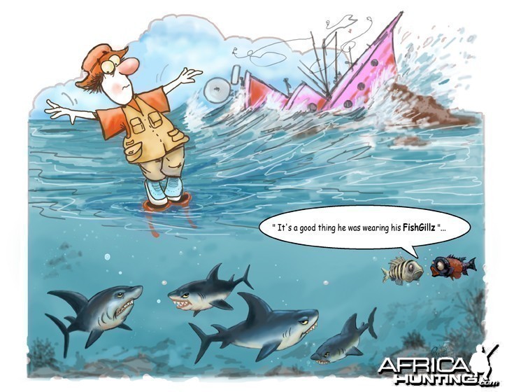 Shark Cartoon - My Photo Gallery