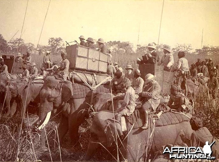 Image of King George V Shooting Tigers in Nepal, 1911 (b/w photo