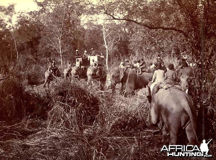 Image of King George V Shooting Tigers in Nepal, 1911 (b/w photo