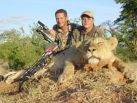 hunting-lion.jpg