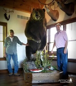 10 Footer Brown Bear Full Mount Taxidermy