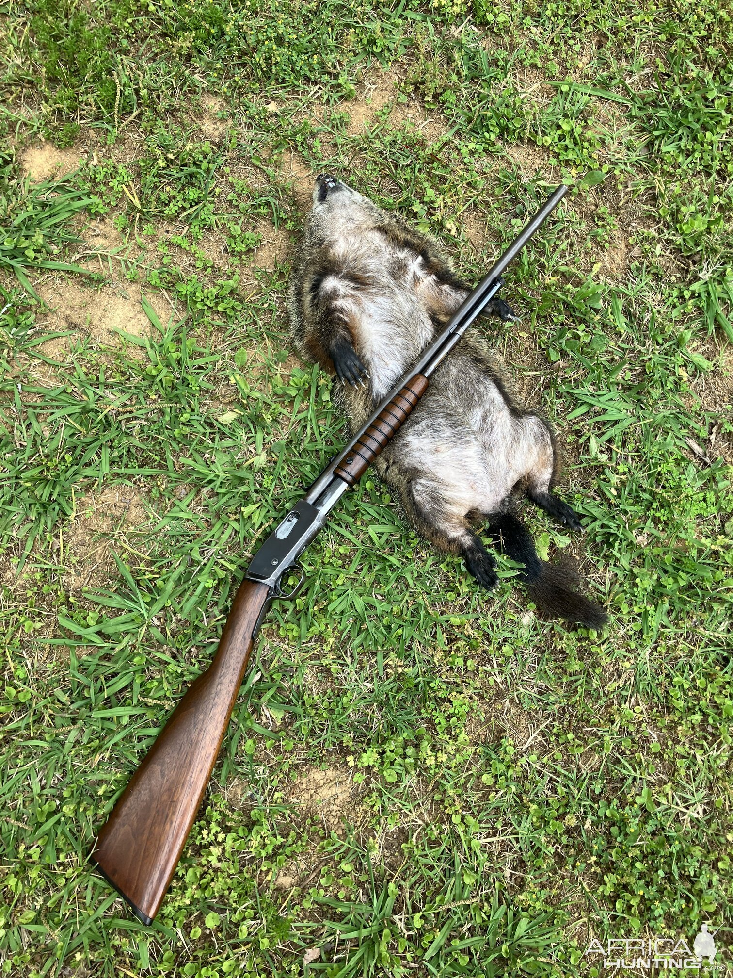 111 Year Old Remington .22 Rifle