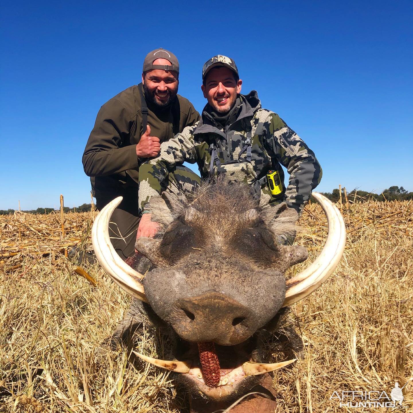 14.5' RW Warthog Limpopo South Africa