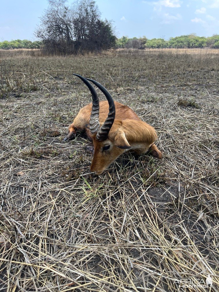 14 Inch Puku Hunt Takeri Private Reserve Zambia