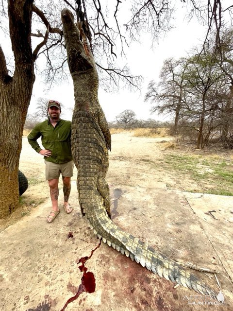 15.2 Feet Crocodile Hunt Caprivi Namibia