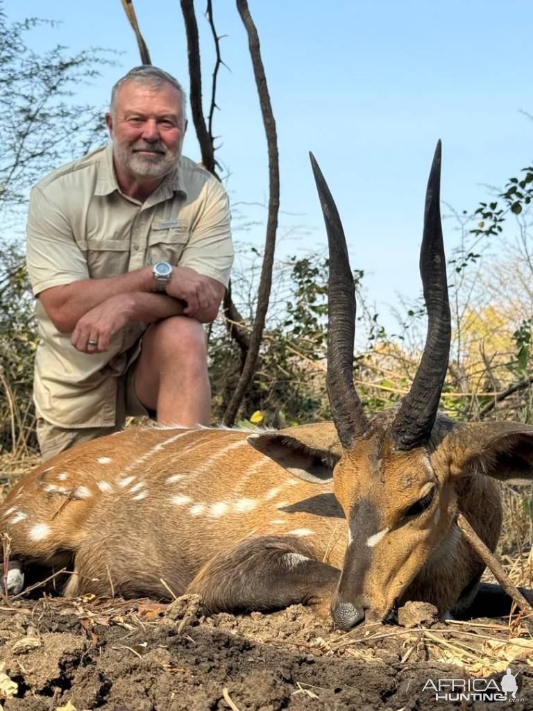 15 inch Chobe Bushbuck Hunt Zambia