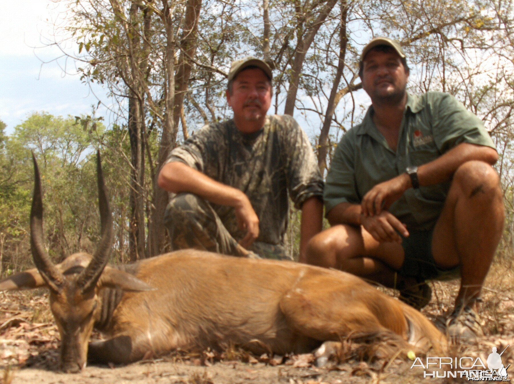 17-1/2'' chobi bushbuck mozambique