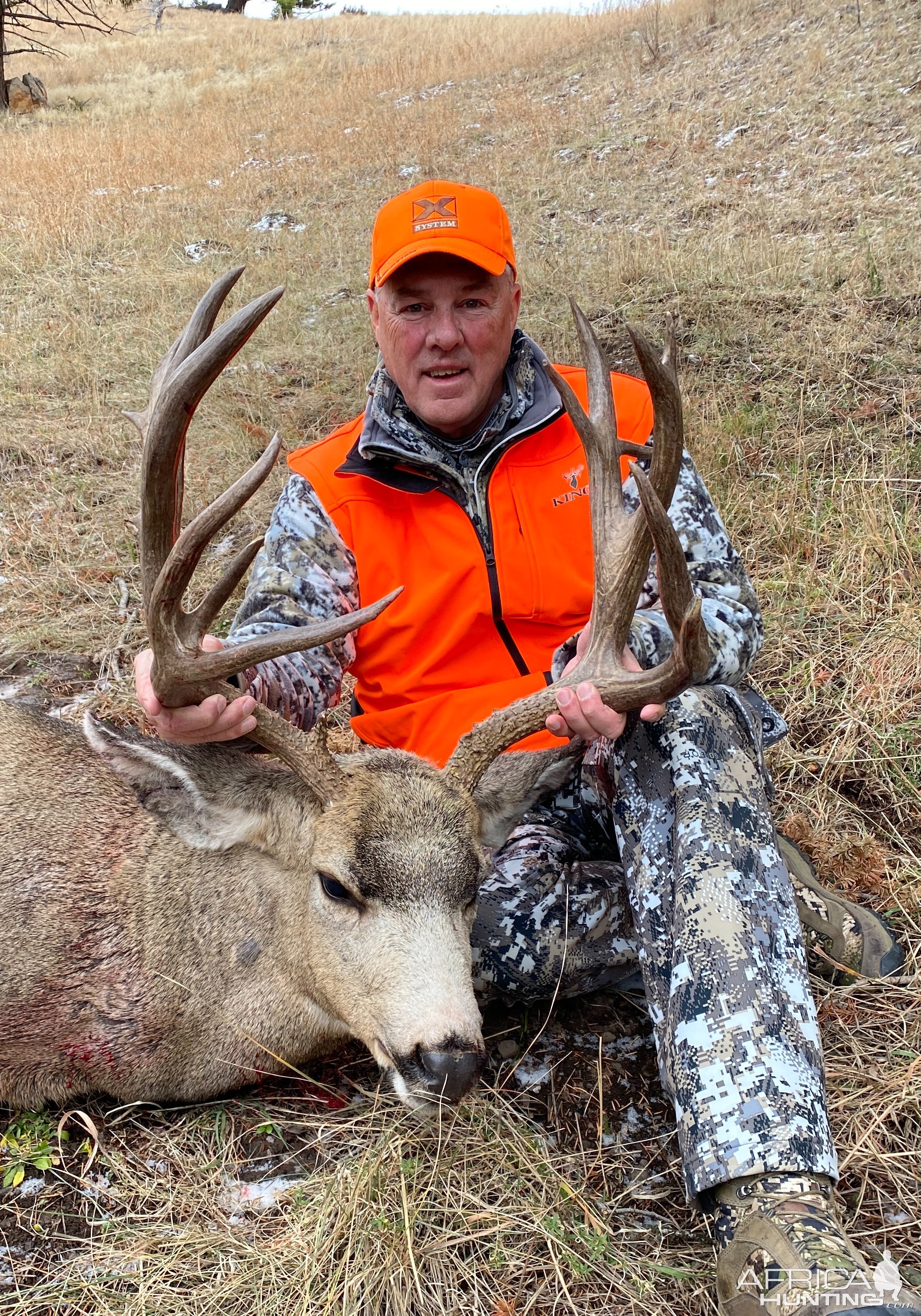 183 Inch Mule Deer Hunt Montana