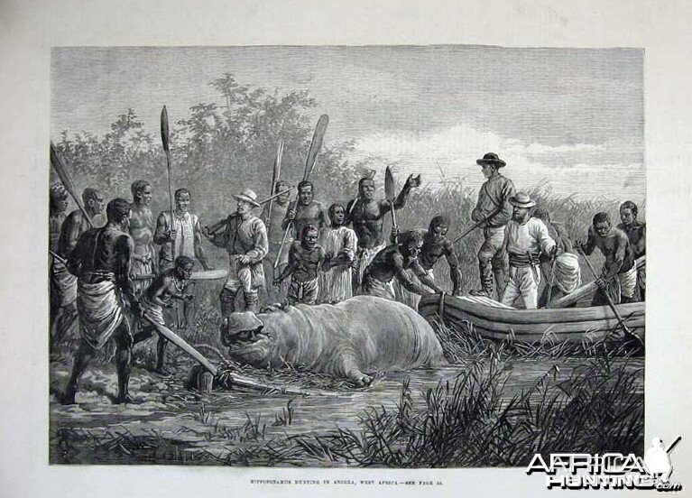 1880 - Hippopotamus Hunting in Angola, Africa