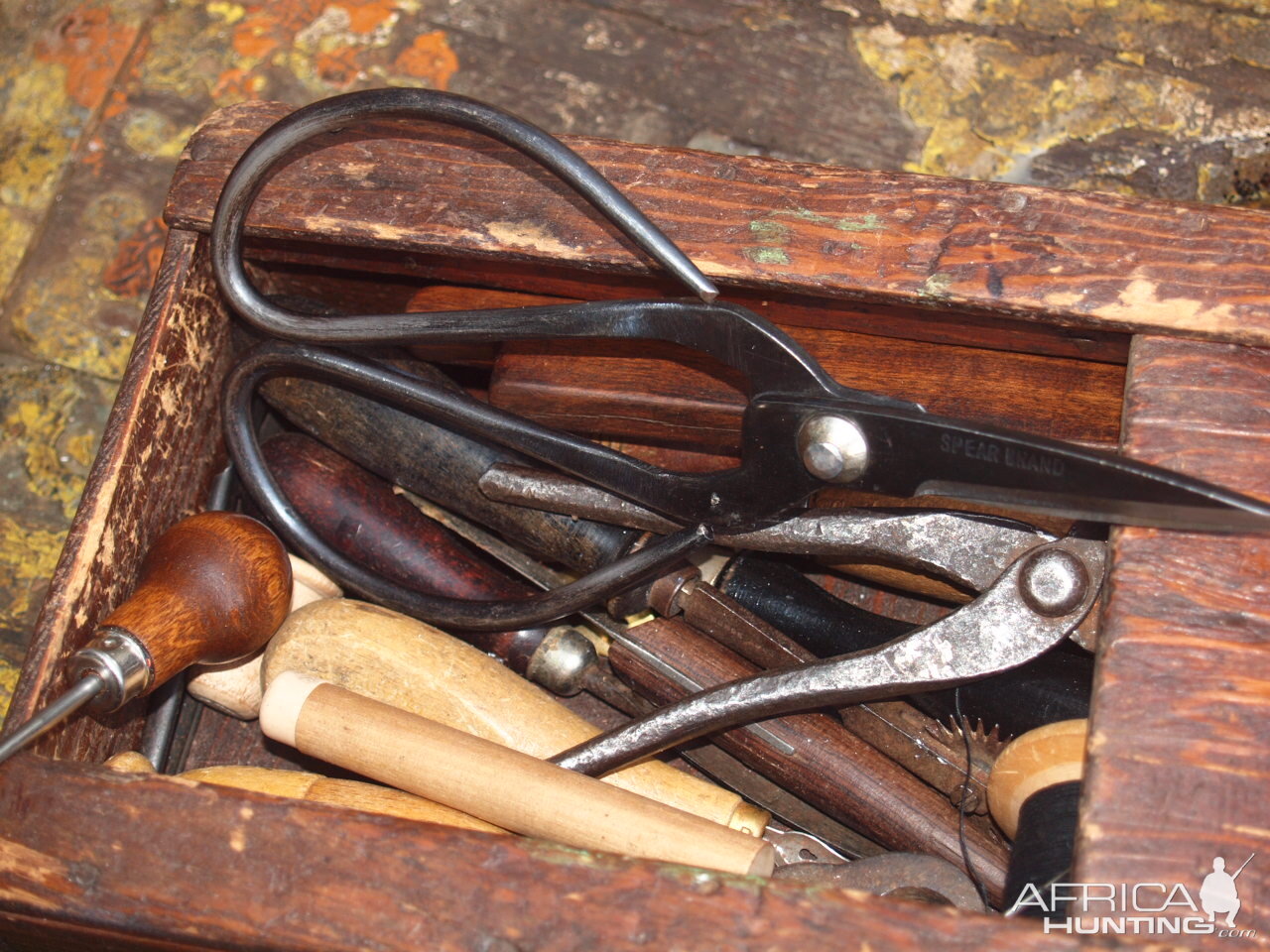 1884 Era Black powder hunt photos