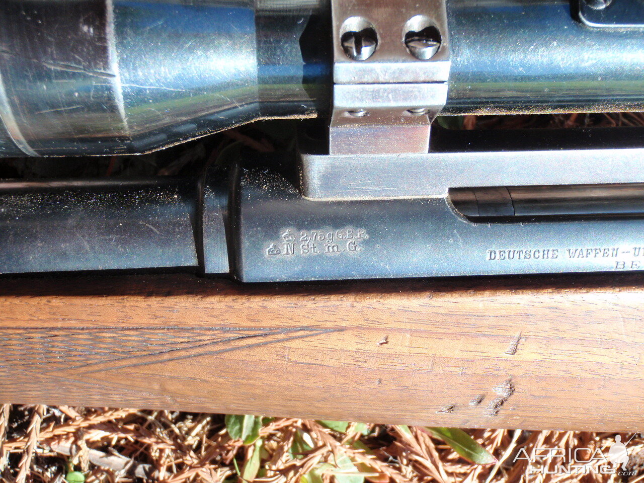 1893 Mauser DWM original Sporting 7x57 Rifle