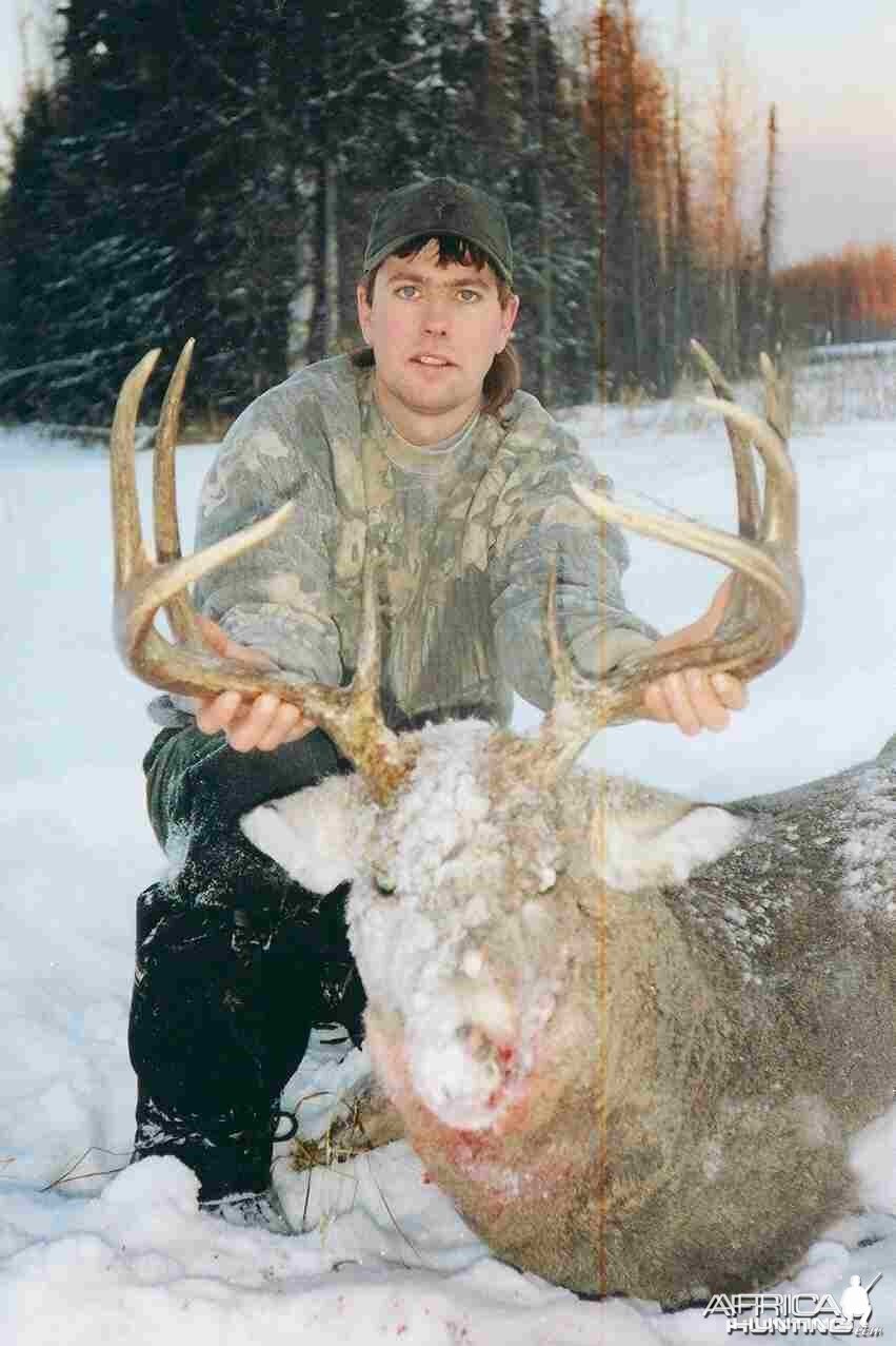 2003 Whitetail