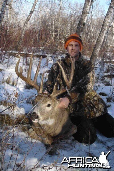 2008 Whitetail