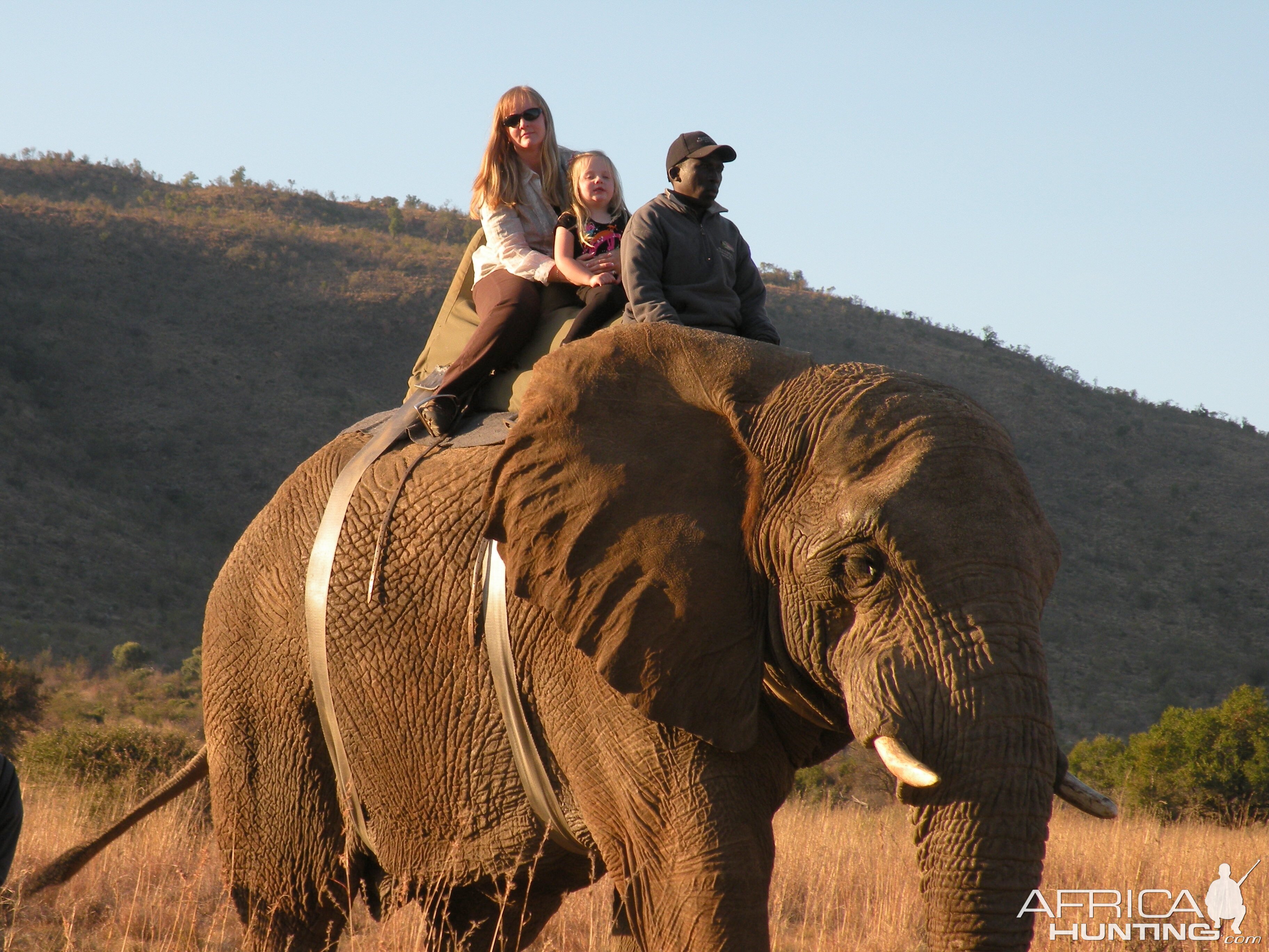 2010 RSA Hunter Elephant Ride