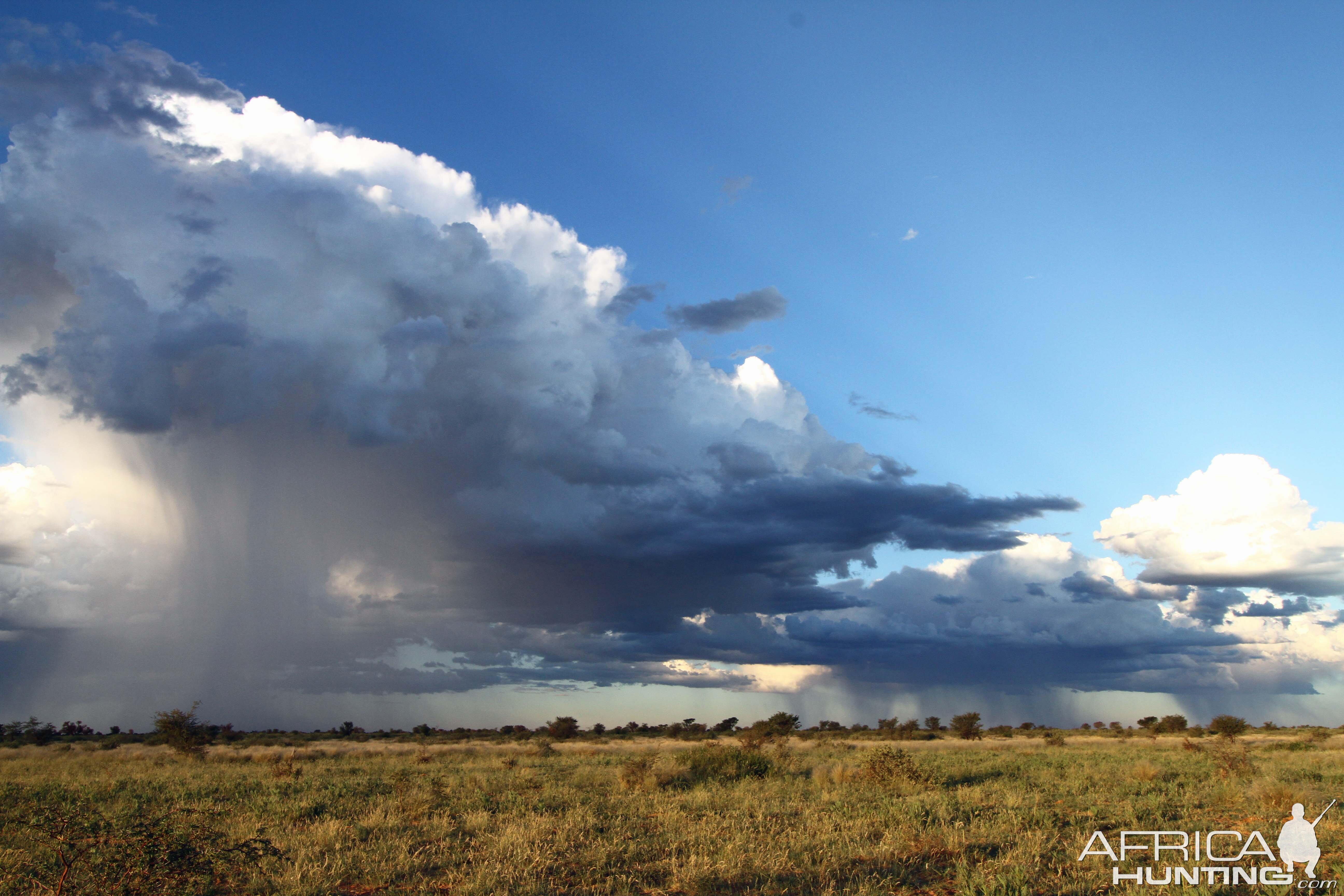 2018 Father and sons safari Thunderstorms