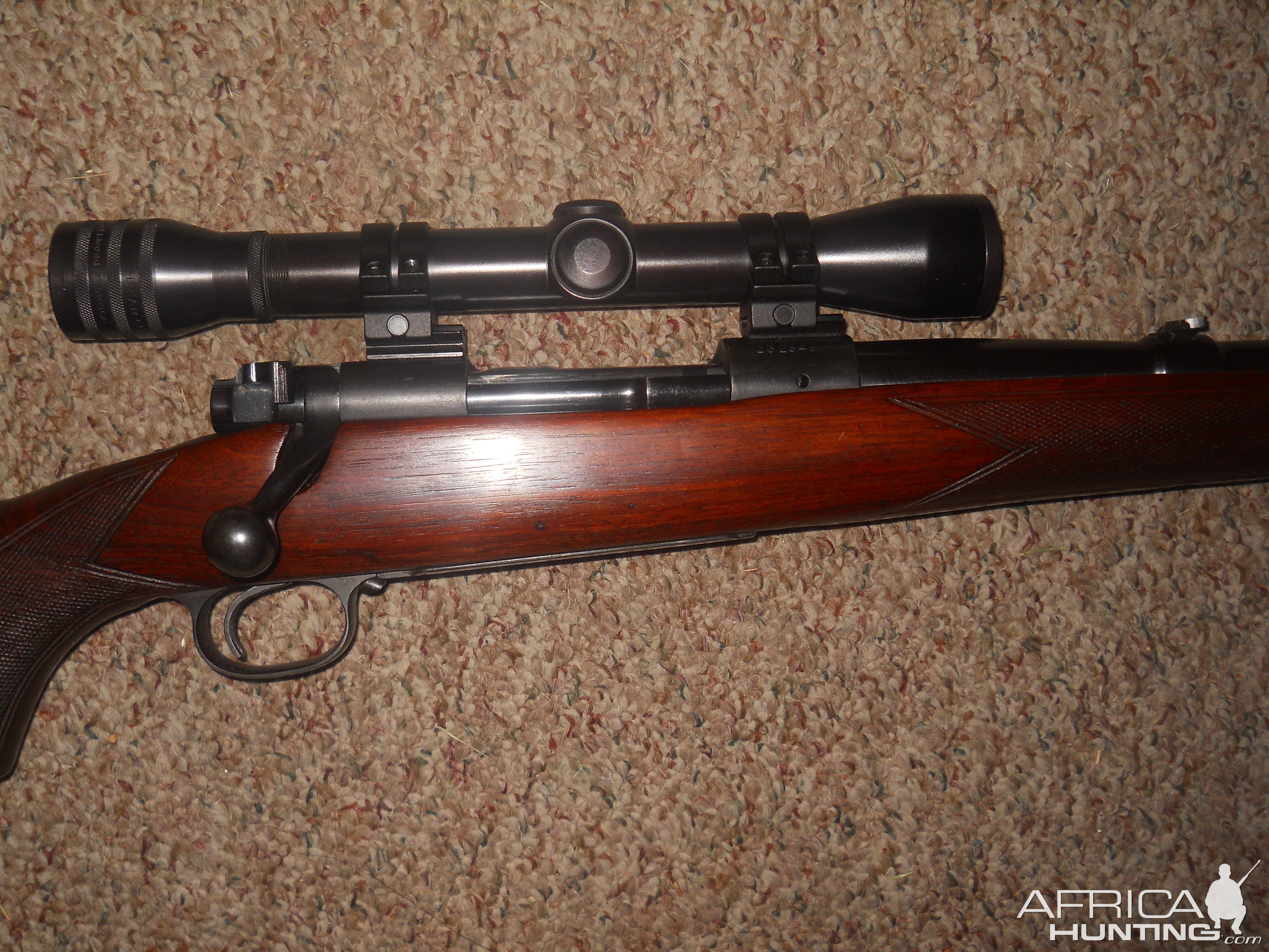 .270 Win Model 70 Rifle