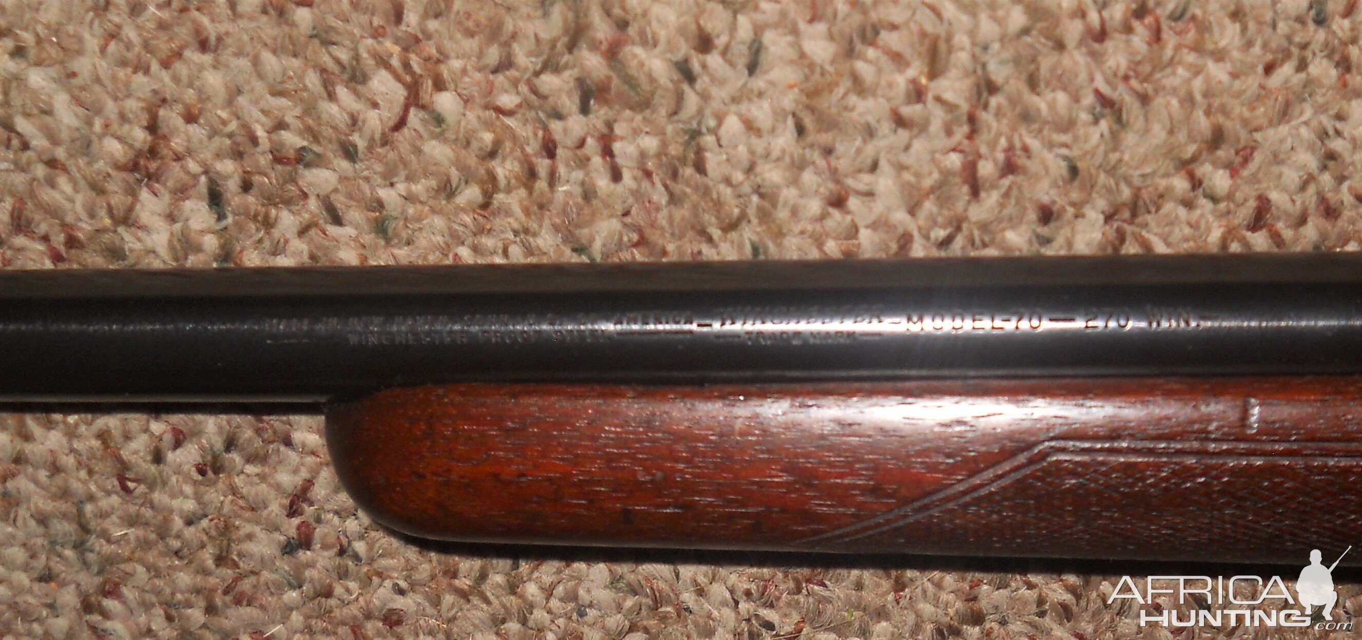 .270 Win Model 70 Rifle