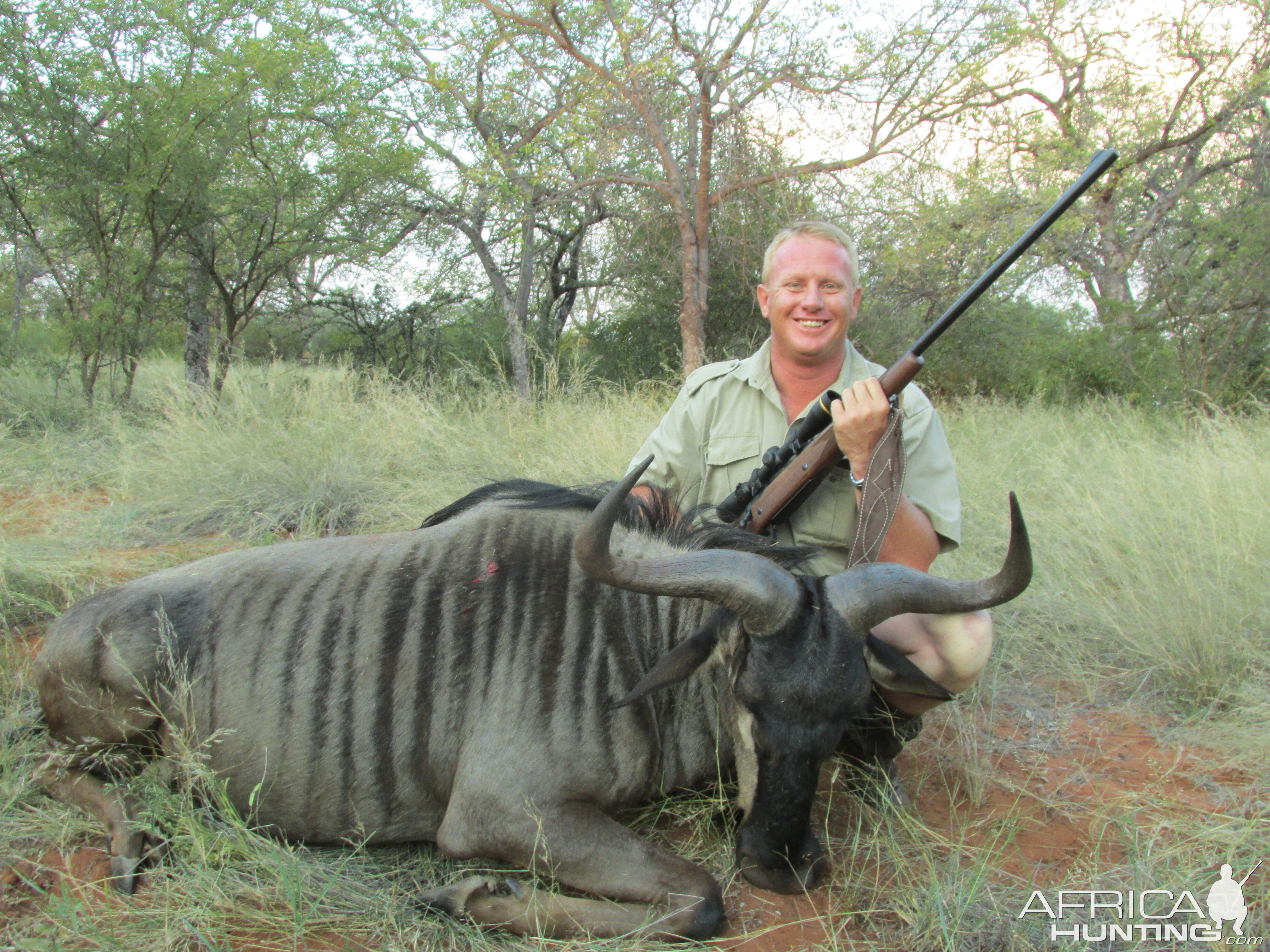 28 Inch Blue Wildebeest