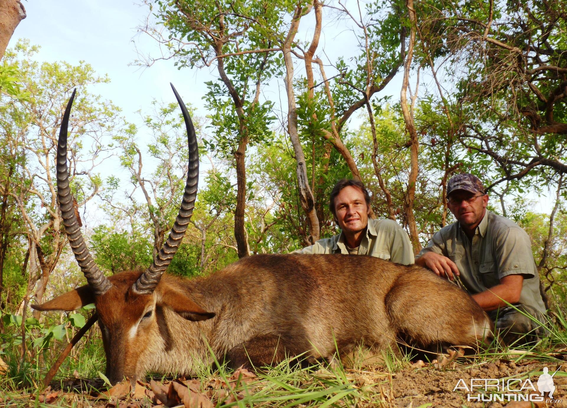 28 inch Sing Sing Waterbuck hunted in CAR