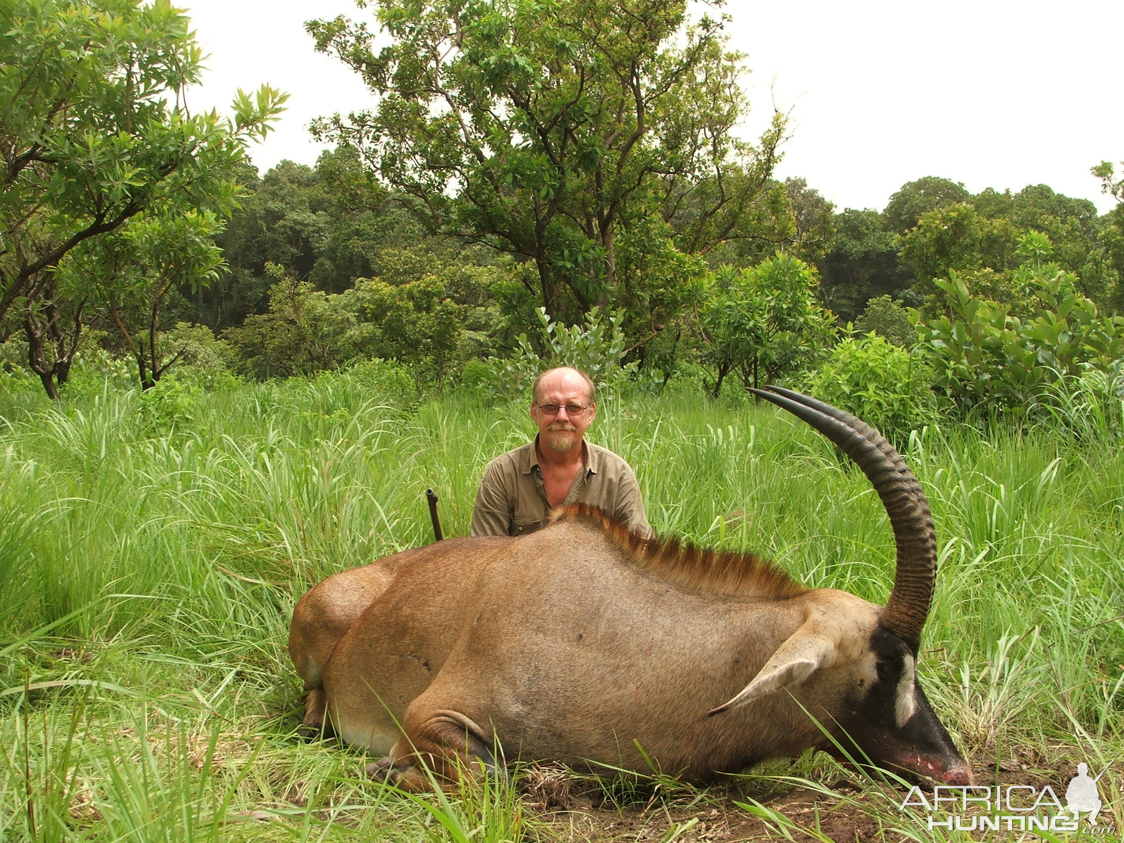 29 inch Roan hunted in CAR with Central African Wildlife Adventures