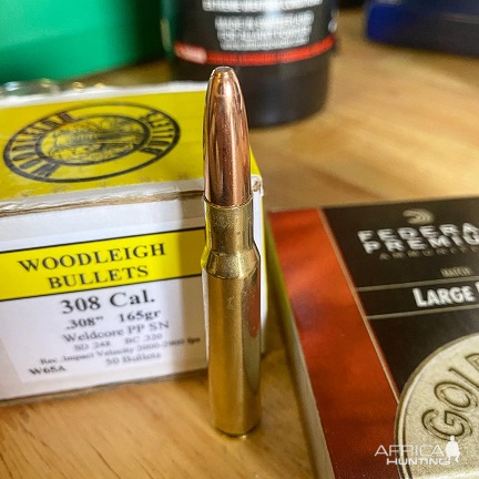 30-06 Ammunition 165 Grain Woodleigh | AfricaHunting.com